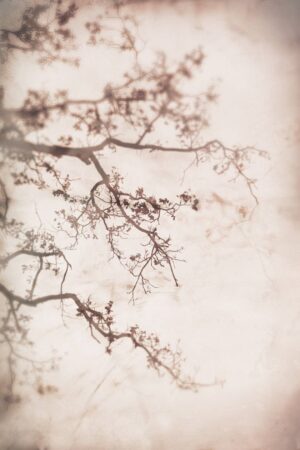 Fading | Annemiek van der Kuil